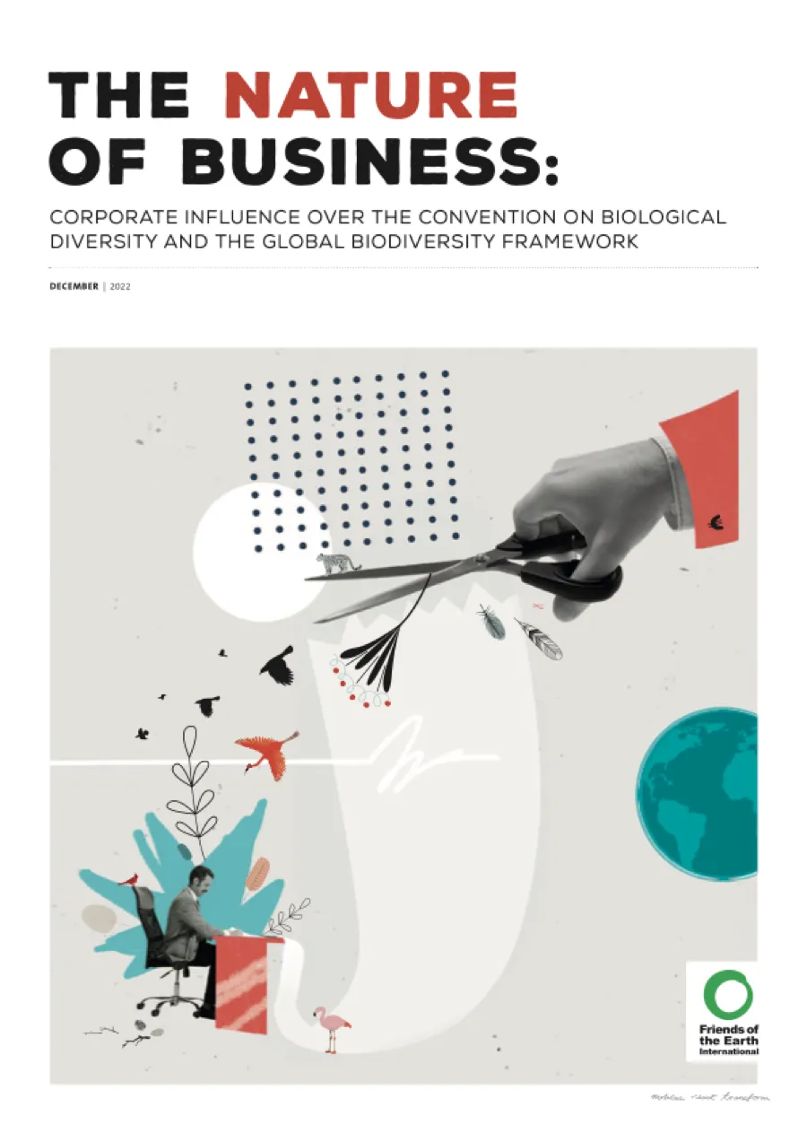 Friends of the Earth International — The Nature of Business
